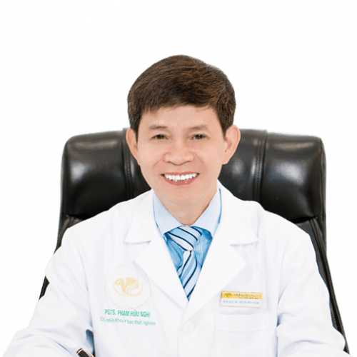 Phạm Hữu Nghị - Hình 1