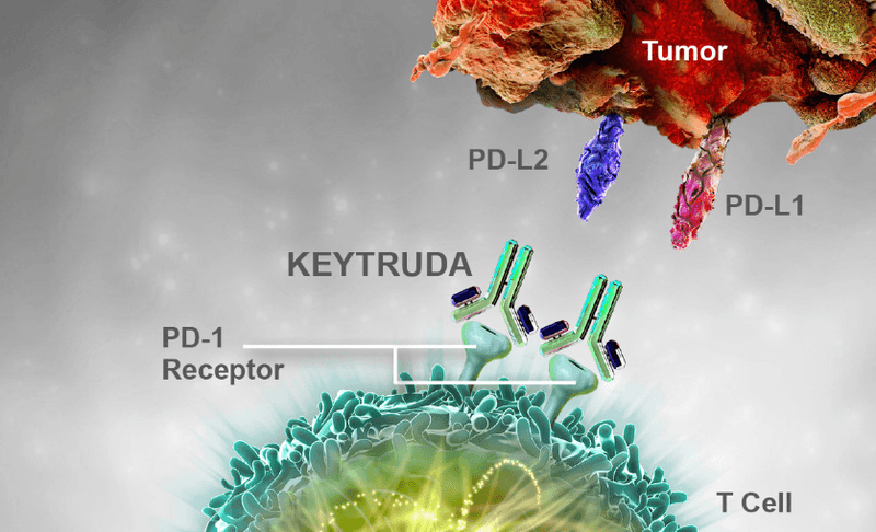 Thuốc miễn dịch Keytruda trong điều trị ung thư dạ dày thực quản