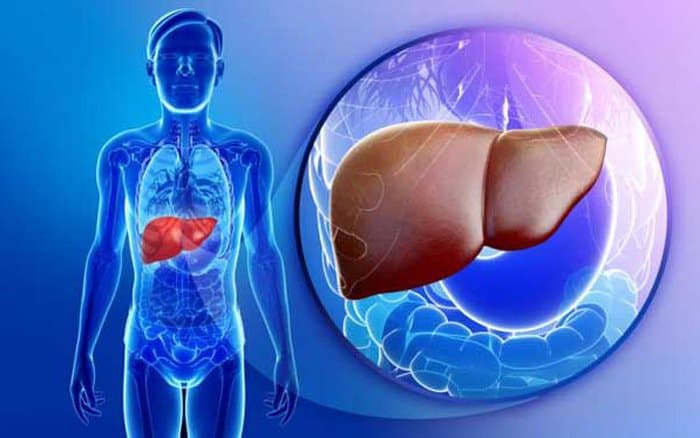 Bị viêm gan C nên ăn gì để giúp lá gan luôn khỏe mạnh
