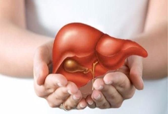 Chăm sóc dinh dưỡng cho người sau ghép gan