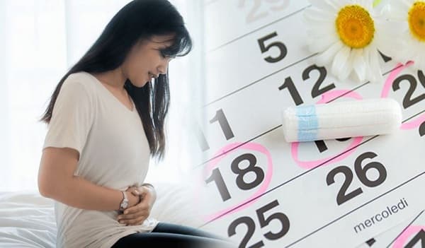 Chu kỳ kinh nguyệt của phụ nữ ảnh hưởng đến chức năng của hệ tim mạch