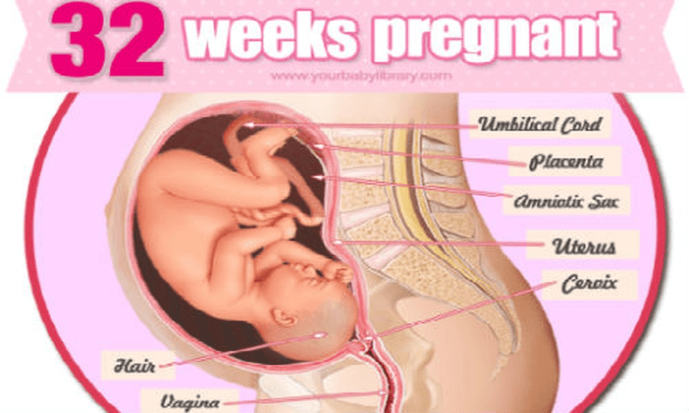 Thai nhi 32 tuần nặng bao nhiêu kg mới đạt tiêu chuẩn?