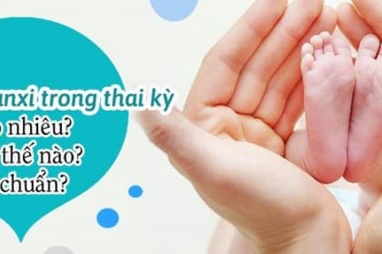 Cách bổ sung canxi cho bà bầu trong suốt thai kỳ đạt hiệu quả