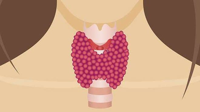 Ý nghĩa các chỉ số xét nghiệm chức năng tuyến giáp