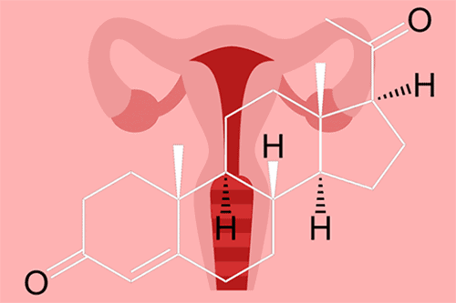 Chỉ số progesterone ảnh hưởng đến khả năng thụ thai trong thụ tinh nhân tạo IVF
