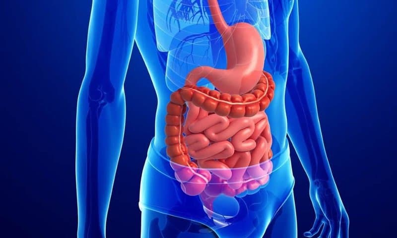16 lời khuyên giúp ích cho tiêu hóa tốt hơn