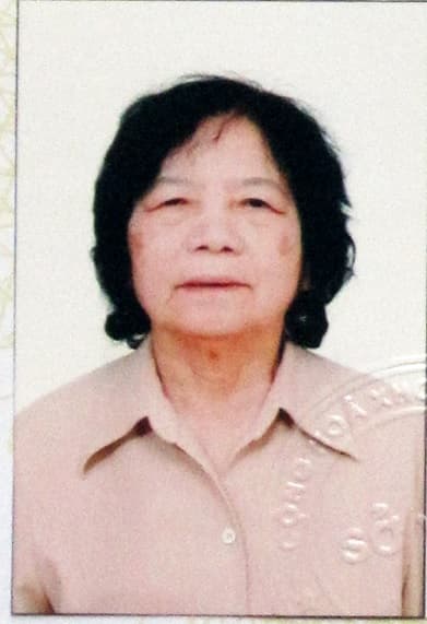 Trần Thuý Lan - Hình 1