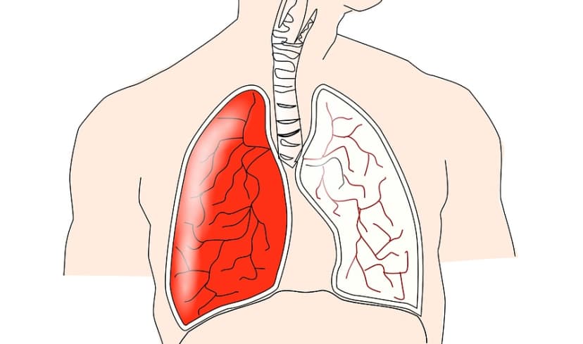 Top 6 Địa Chỉ Khám Chữa Bệnh Hô Hấp Hàng Đầu Tại Hà Nội (Phần 2)