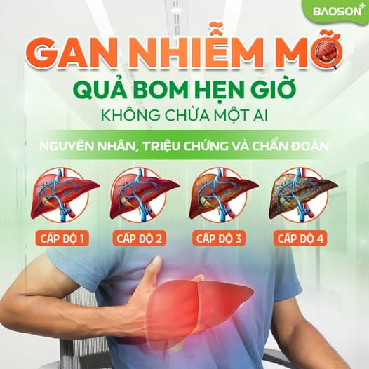 GAN NHIỄM MỠ - KẺ THÙ THẦM LẶNG PHÁ HOẠI SỨC KHỎE