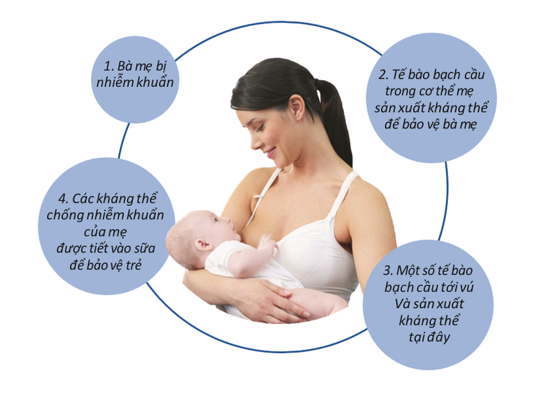 Những lợi ích của việc nuôi con bằng sữa mẹ trong năm đầu đời - ảnh 2
