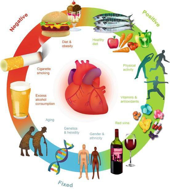 11 nguy cơ bệnh tim mạch hàng đầu có thể bạn chưa biết