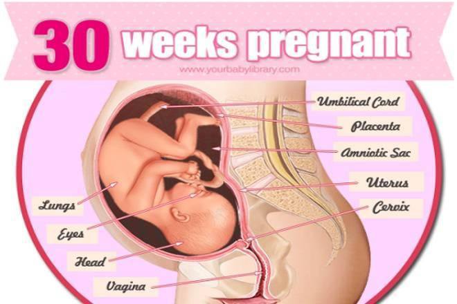 Chỉ số thai nhi 30 tuần như thế nào là tốt? - ảnh 3