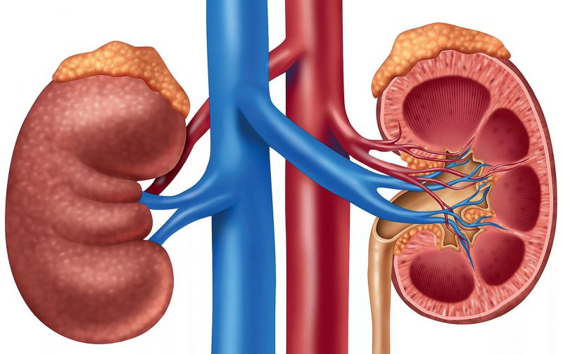 Bệnh U tuyến thượng thận: Nguyên nhân, biến chứng và cách điều trị