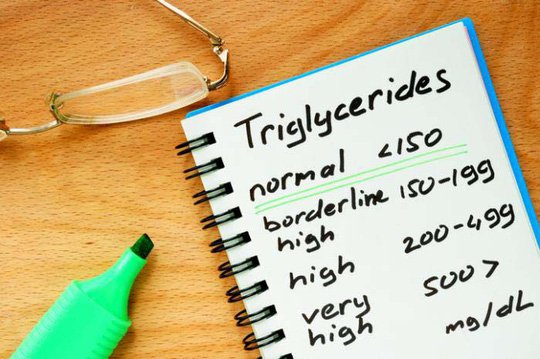Chỉ số mỡ máu Triglyceride và biến chứng nguy hiểm cần lưu ý - ảnh 1