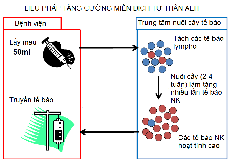 Ung thư di căn có sử dụng liệu pháp miễn dịch tự thân được không? - ảnh 3