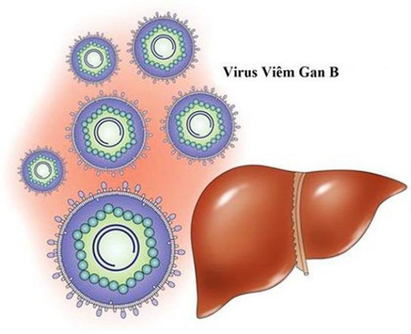 Vắc-xin phòng viêm gan B: Công dụng, liều dùng, chỉ định, chống chỉ định và tác dụng  - ảnh 1