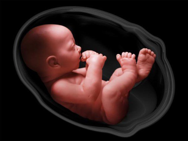 Sự phát triển của thai nhi tuần 22 mẹ bầu cần biết - ảnh 2