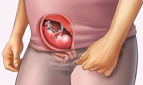 Sự phát triển của thai nhi tuần 13 mẹ bầu cần biết