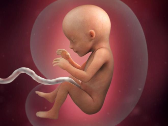 Sự phát triển của thai nhi tuần 17 mẹ bầu cần biết