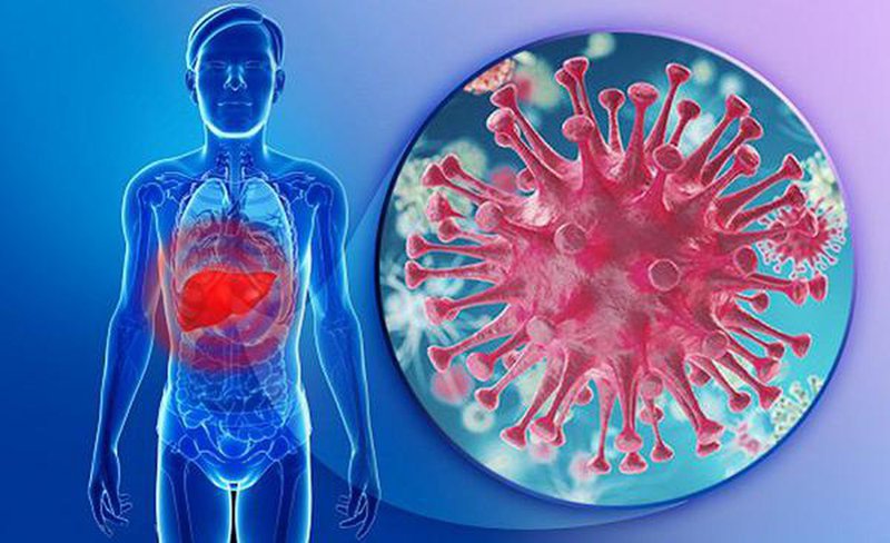 Viêm gan virus B: Nguyên nhân, con đường lây nhiễm, triệu chứng và Cách điều trị