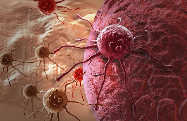 Hệ miễn dịch là gì?, Điều trị ung thư bằng hệ thống miễn dịch - ảnh 1