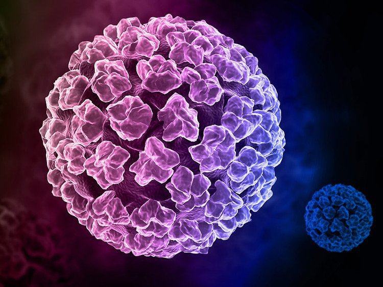 Vì sao virus HPV 16 và 18 là nguyên nhân chính gây ung thư cổ tử cung?