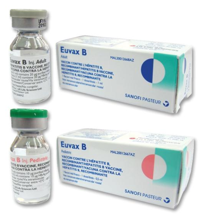 Vắc-xin phòng viêm gan B Euvax: Công dụng, liều dùng, tác dụng phụ