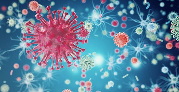 Viêm gan B có khả năng trở thành bệnh nhiễm trùng mãn tính như thế nào? - ảnh 1