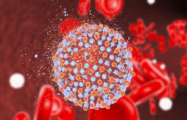 Điều trị viêm gan siêu vi do HBV, HCV trên bệnh nhân đồng nhiễm HIV như thế nào? - ảnh 1