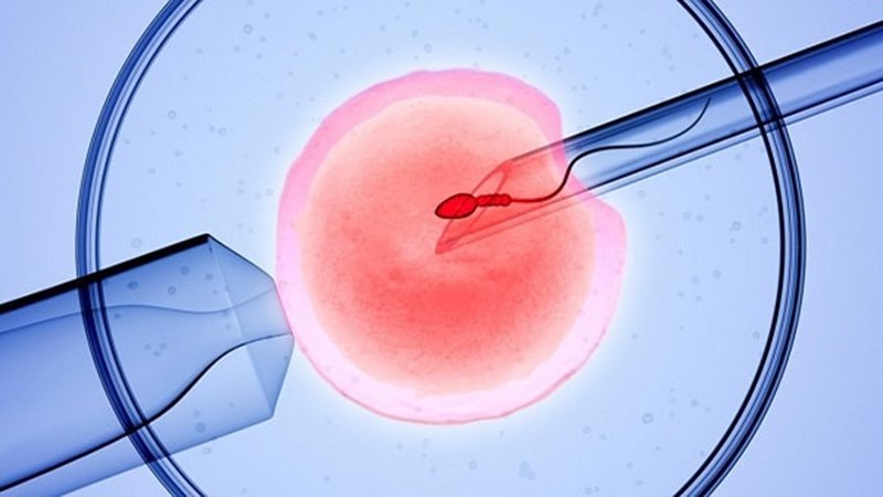 Tại sao phôi tốt nhưng vẫn không có thai khi làm thụ tinh ống nghiệm IVF?