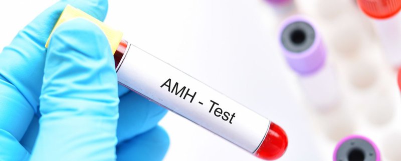 Vai trò của xét nghiệm nội tiết AMH chuẩn đoán khả năng sinh sản ở nữ giới