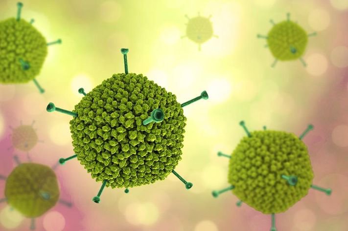 Virus Adenovirus gây bệnh gì?