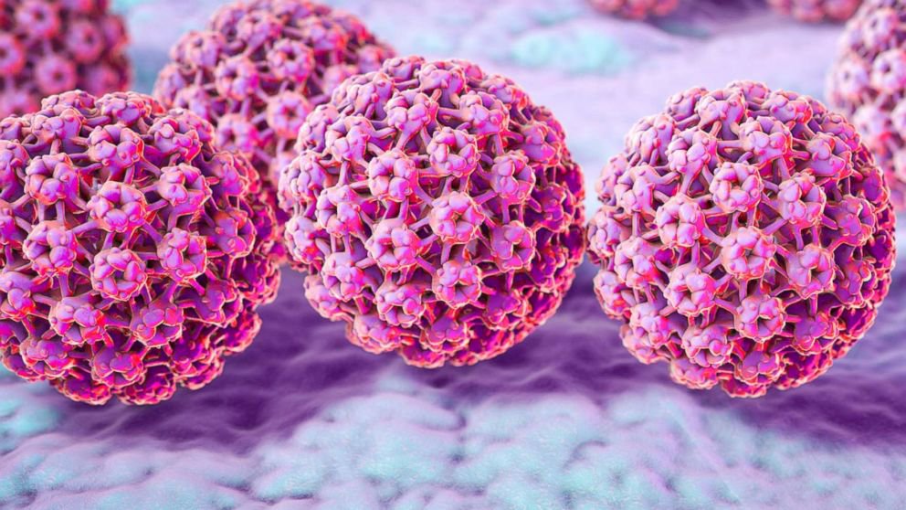 Tìm hiểu Virus HPV gây bệnh ung thư cổ tử cung? - ảnh 1