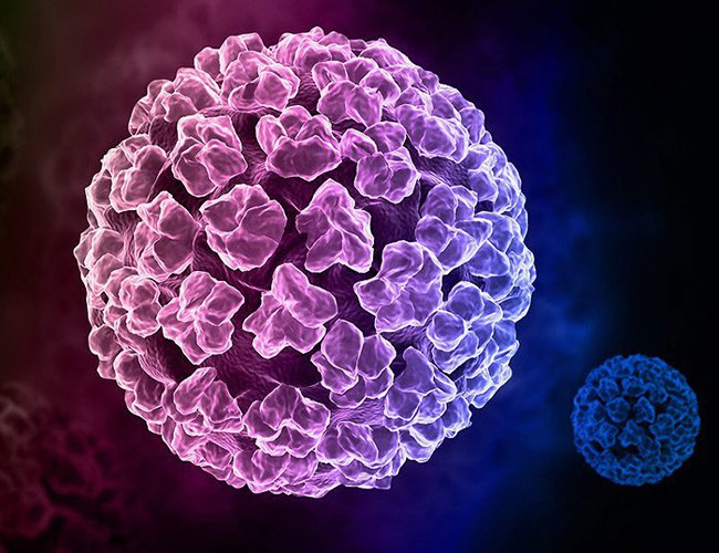 Bị nhiễm HPV gây mụn cóc sinh dục, có nên tiêm ngừa vắc-xin ung thư cổ tử cung? - ảnh 2