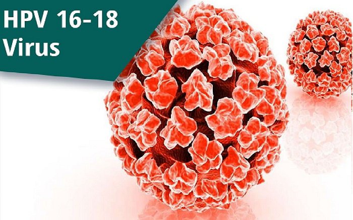 7 điều cần biết về Vắc xin HPV - ảnh 1