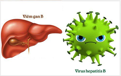 Virus viêm gan A, B, C lây truyền như thế nào? - ảnh 1