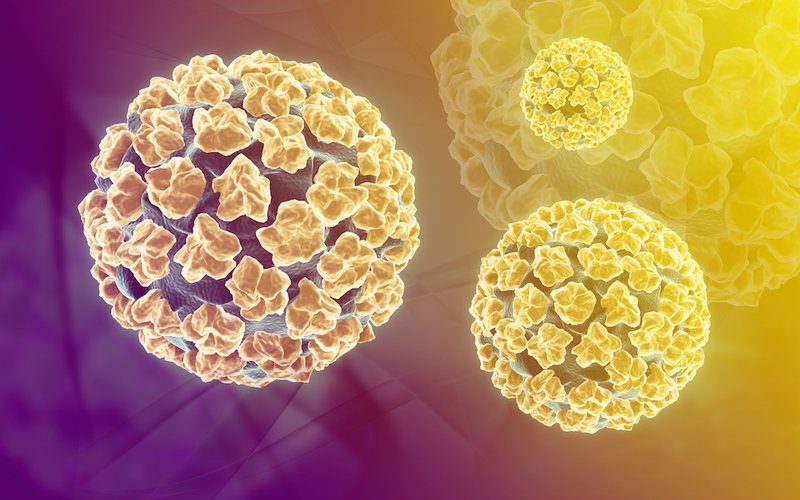 Vắc - xin HPV có thể làm giảm nguy cơ của một số loại ung thư?