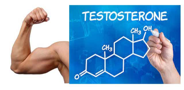 Testosterone là gì? nguyên nhân, Điều trị testosterone cho nam giới cao tuổi - ảnh 1