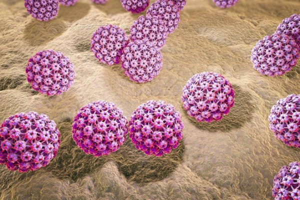 Virus HPV gây ung thư cổ tử cung có lây không?