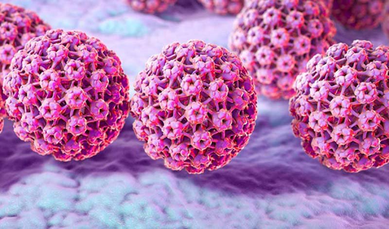 Những điều cần biết về vắc - xin HPV ngừa virus gây u nhú ở người - ảnh 2