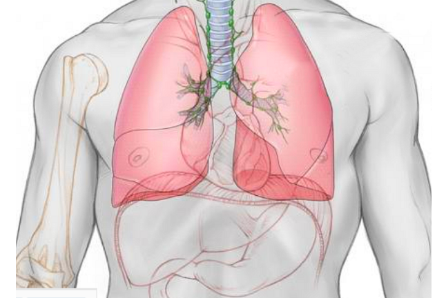 Những điều cần biết Các thể tích và dung tích phổi - ảnh 1