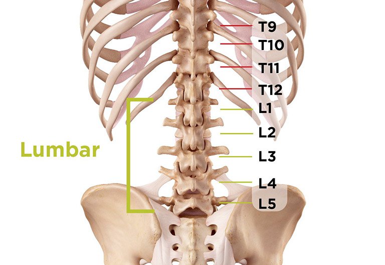 Quy trình chụp cắt lớp vi tính cột sống thắt lưng có dựng hình 3D - ảnh 1