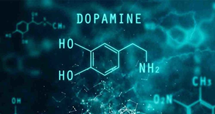 Dopamine là gì?, Tác dung và ảnh hưởng đến cơ thể như thế nào?