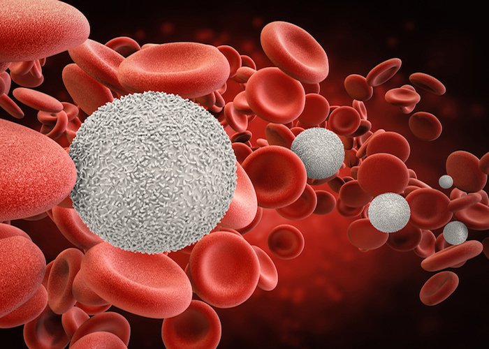 Ghép tế bào gốc tạo máu ở trẻ em