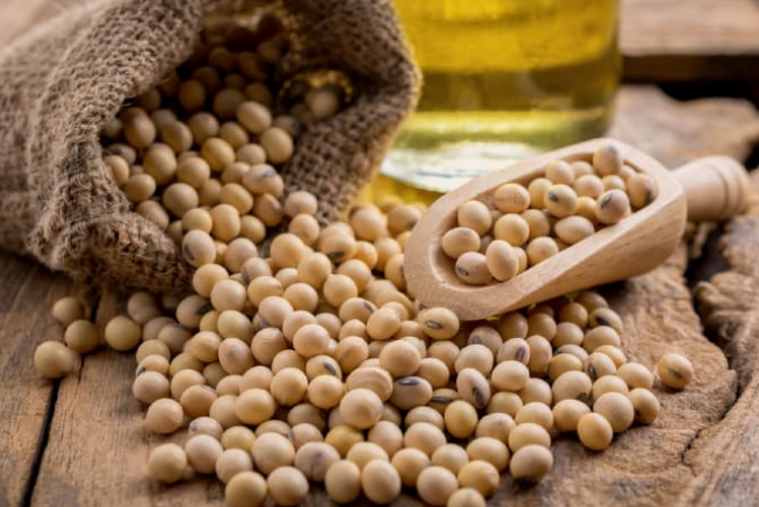 6 lợi ích cho sức khỏe của hạt đậu nành bạn cần biết