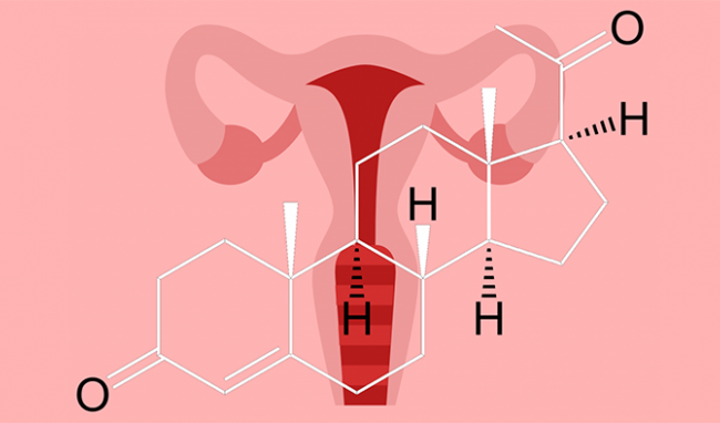 Xét nghiệm Progesterone đánh giá sự phóng noãn của buồng trứng - ảnh 1