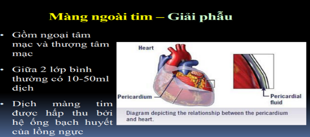 Ép tim cấp là gì? Các dấu hiệu nhận biết và điều trị - ảnh 1