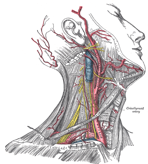 Quy trình gây mê nội khí quản phẫu thuật cắt bỏ u mạch máu vùng đầu cổ